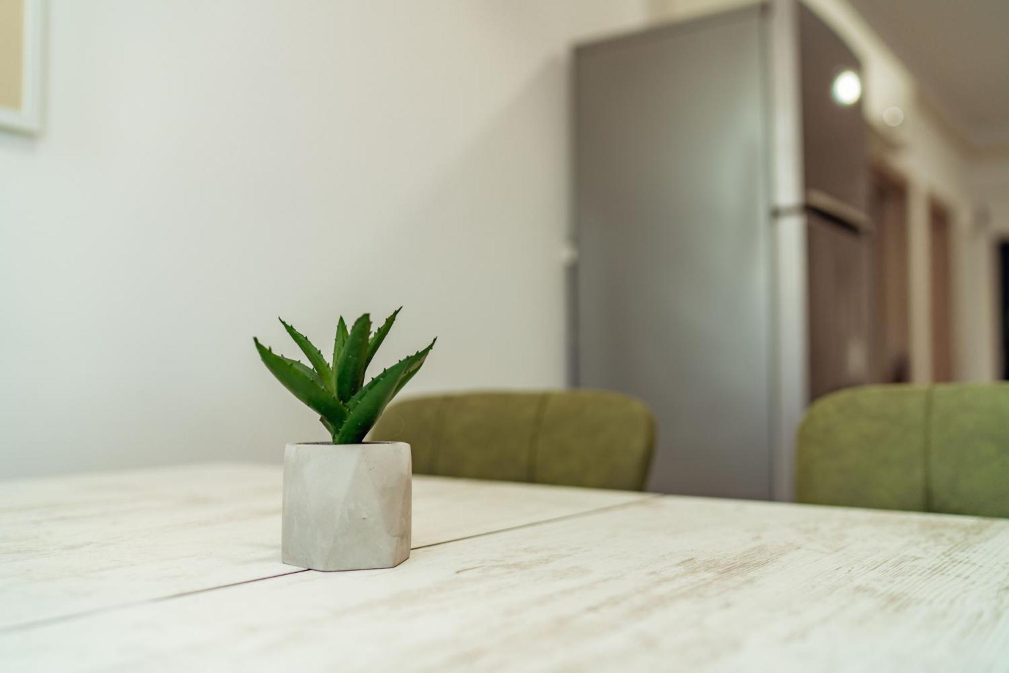 Cozy Apartments - One Residence Iasi Ngoại thất bức ảnh
